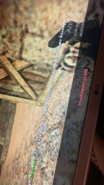 IMG_8377.jpeg
